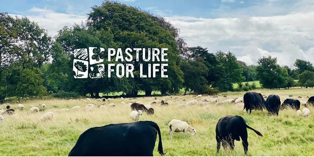 Regenerative sheep systems at Fernhill Farm