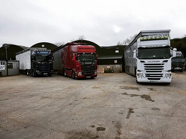 Support Irish Live Exports - Please Sign a Petition to Save Exports!