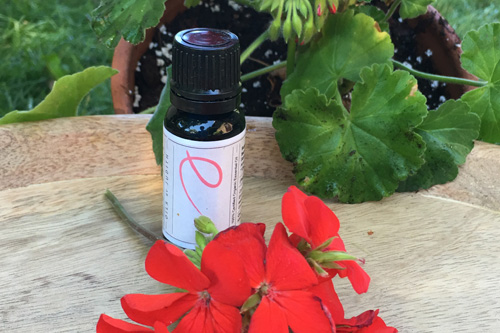 oils-slider1.jpg