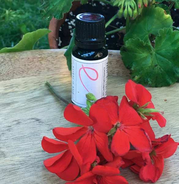 Geranium   essential oil  organic 15ml