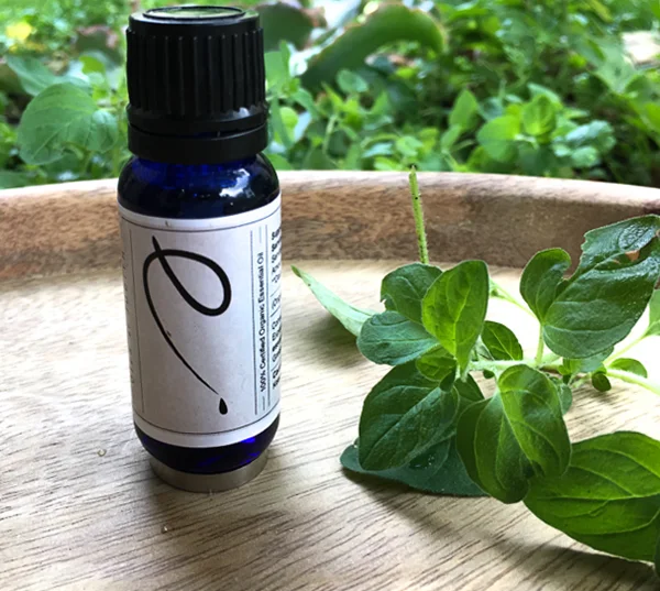 Oregano   essential oil   organic  15ml