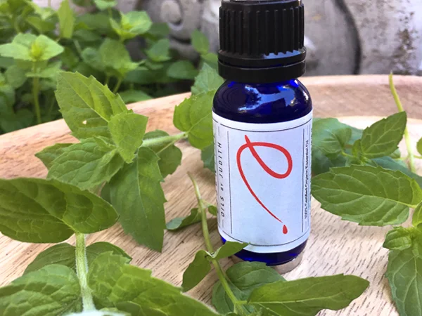 Peppermint  essential oil  organic  15ml      