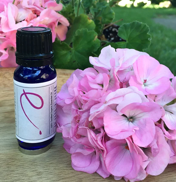 Rose Geranium  essential oil  organic  15ml