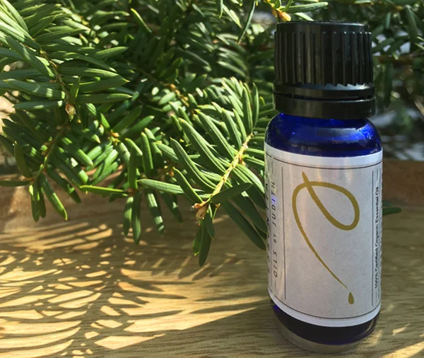 Tea Tree  essential oil  organic  15ml