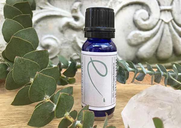 Eucalyptus   essential oil  organic  15ml 