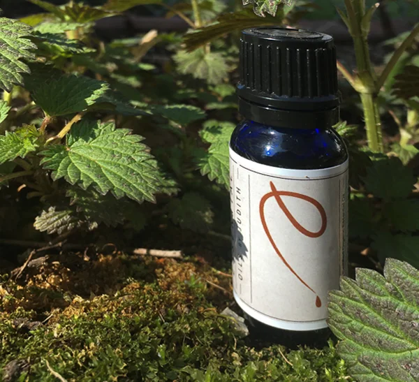 Patchouli   essential oil  organic  15ml        