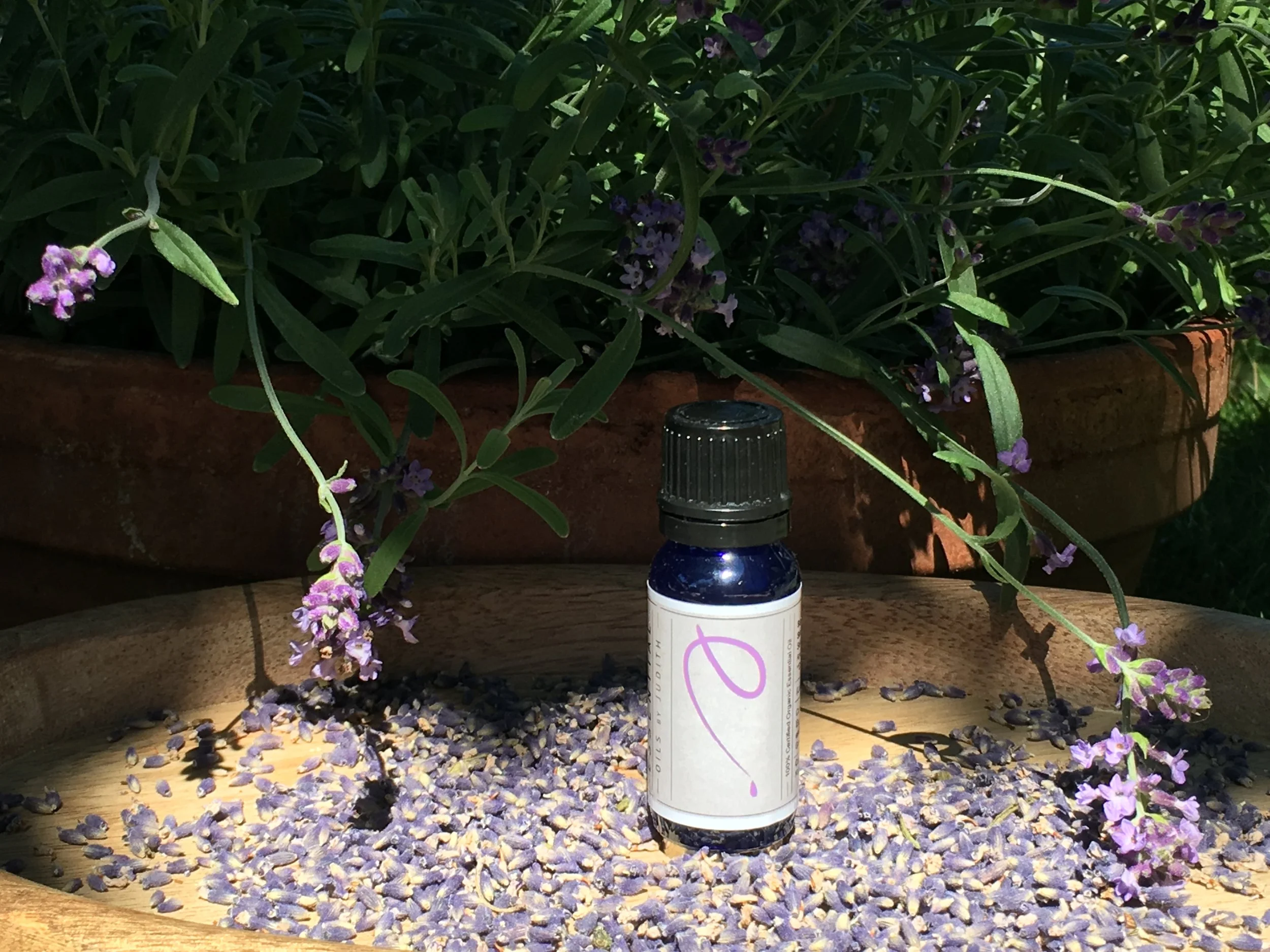 Lavender  essential oil organic  15ml