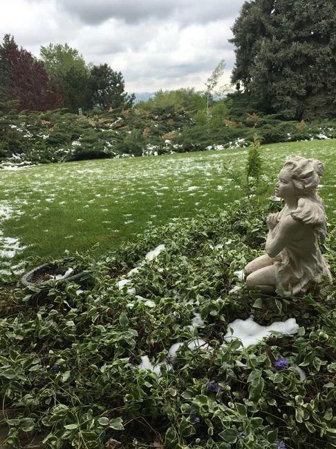 Spring has Sprung!