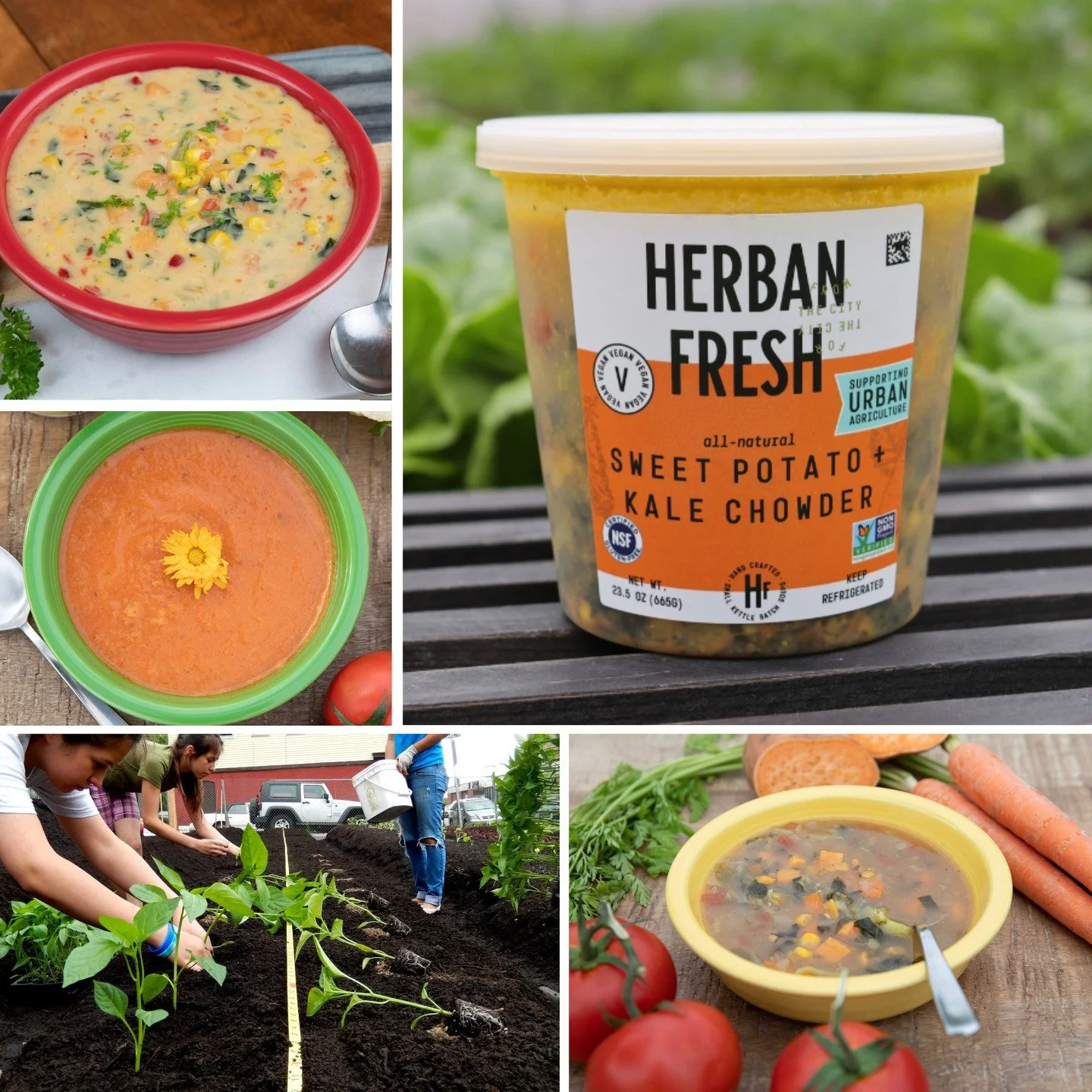 Did you know January is National Soup Month? It&rsquo;s a great time to try one of our delicious Herban Fresh soups! Your purchase will also help support urban agriculture. Find out more at HerbanFresh.com.