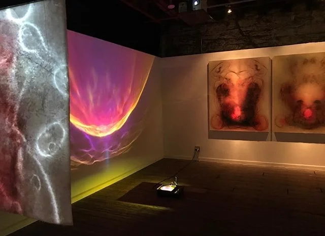 Installation photo of "Embodied" two person exhibition with Laurent Fort. Curated by Megan Suttles