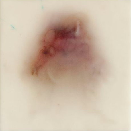 Precious Wound, 2012 silk and encaustic on panel, 6 x 6 in.