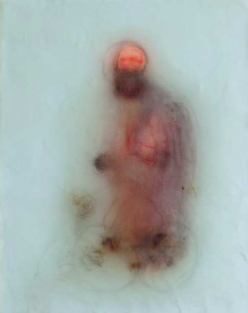  Evelyn, 2012 silk and encaustic on panel, 20 x 16 in. 