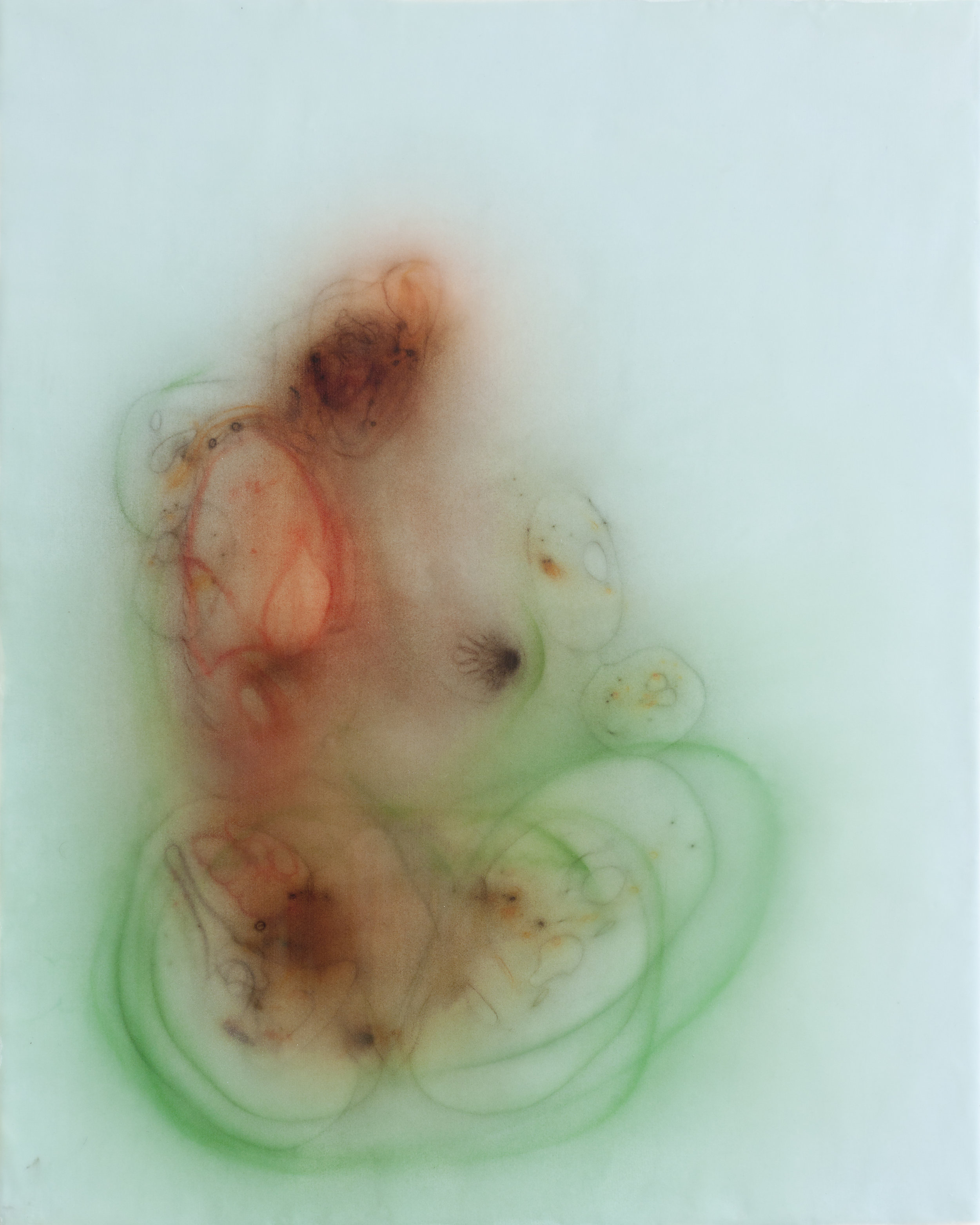  Phoebe, 2012 silk and encaustic on panel, 20 x 16 in. 