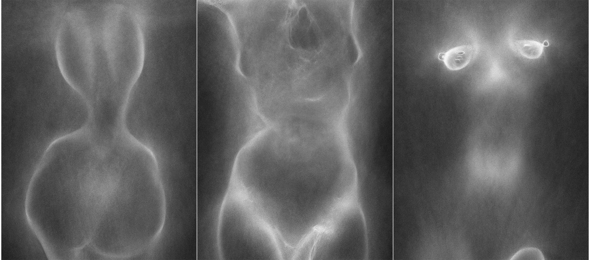 female_torso_v001.jpg