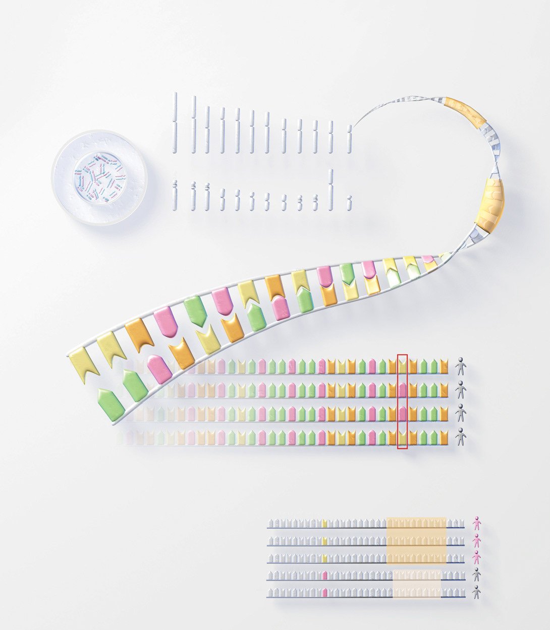 RNA / DNA sequencing