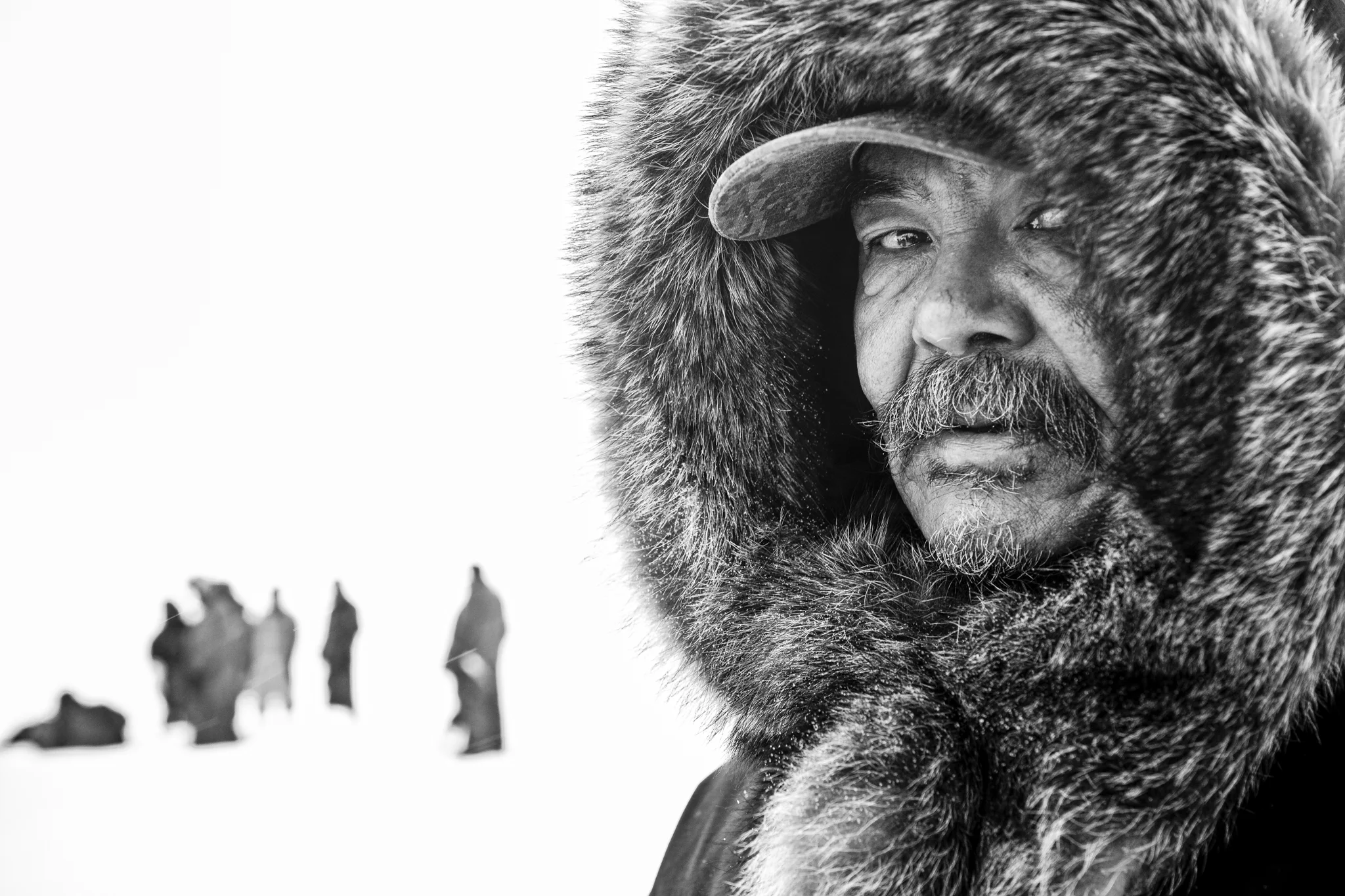 eyes_of_the_arctic.jpg