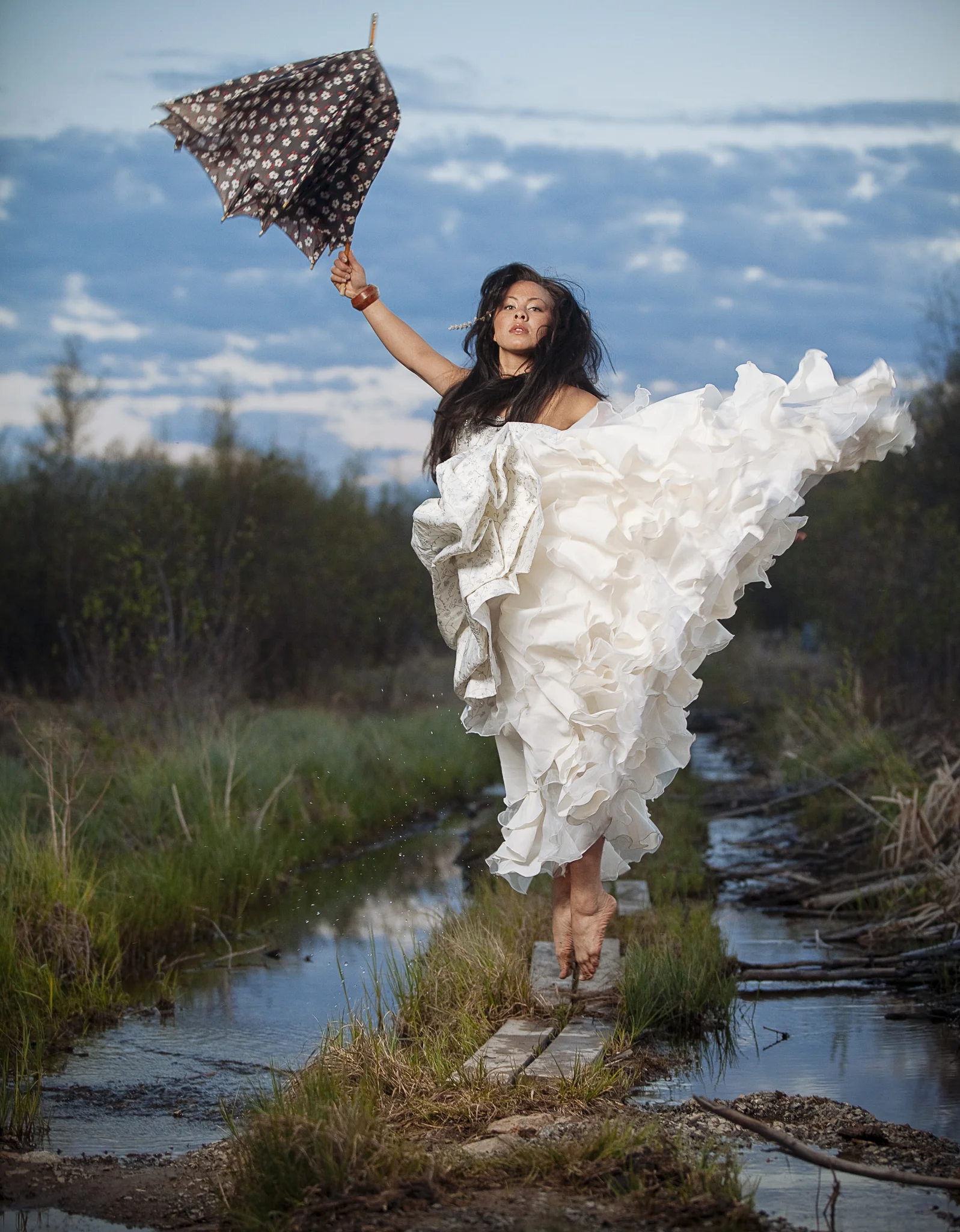 subarctic_butterfly.jpg