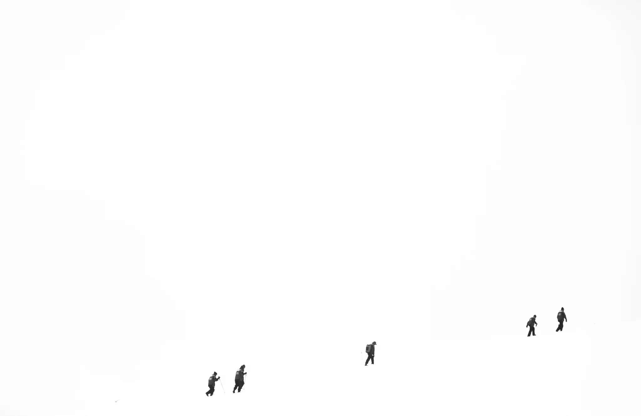 20170218-20170218-0B3A9457.jpg