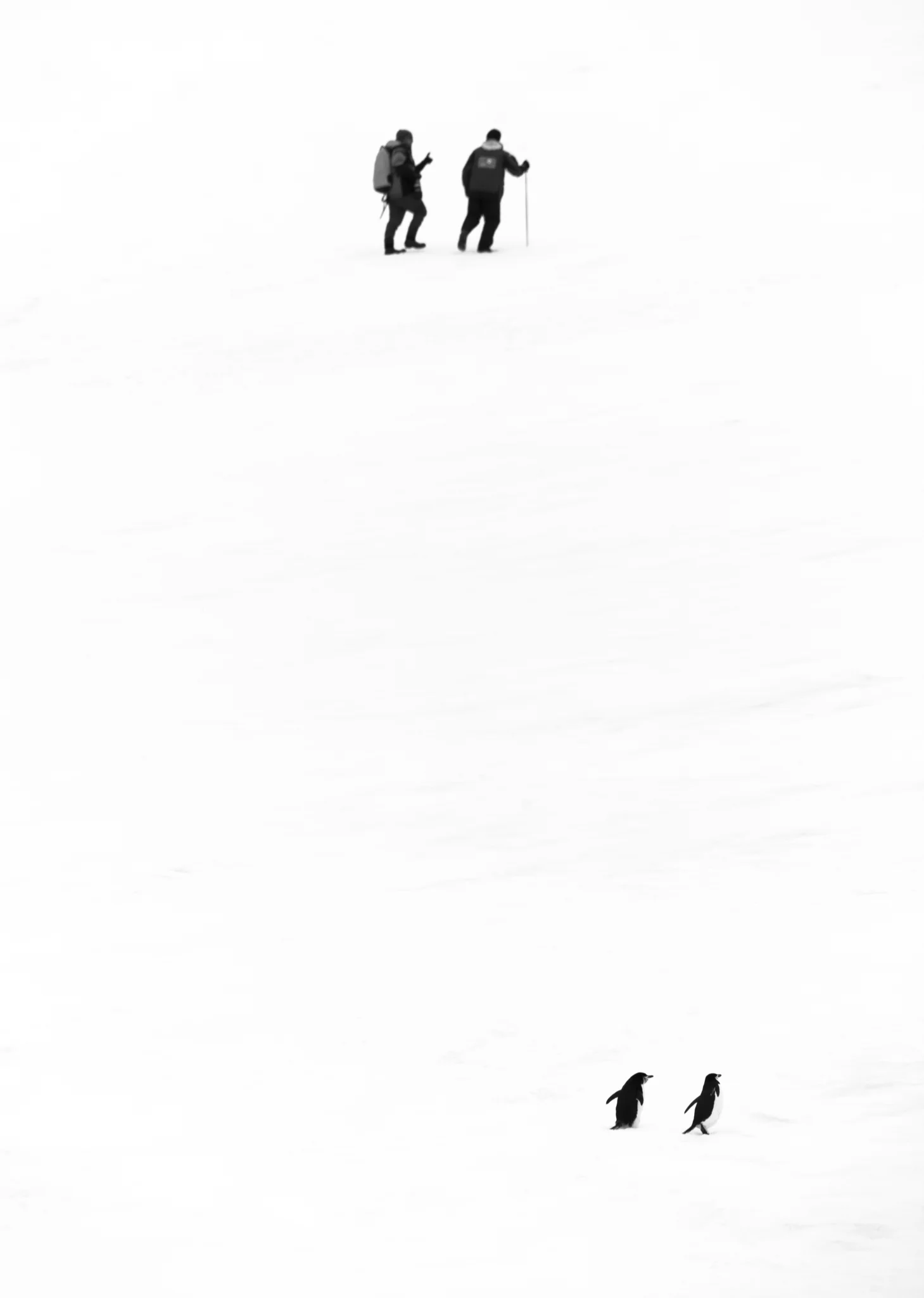 20170210-20170210-0B3A6861.jpg