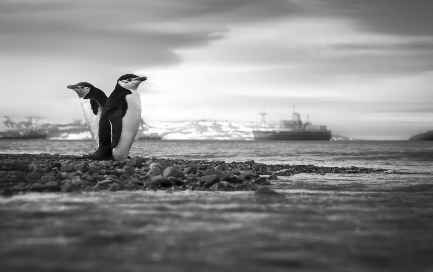 20180110-253A3305-Edit.jpg