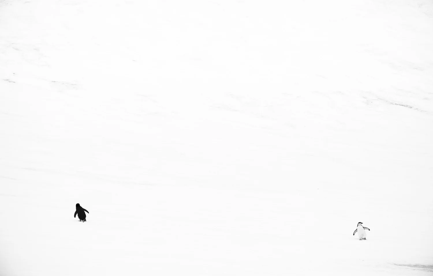 20170210-20170210-0B3A6875.jpg