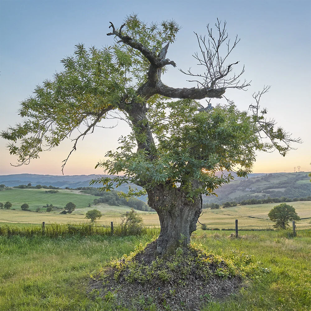 ©marccramer_L2605571 1-L2605572 1-3.JPG