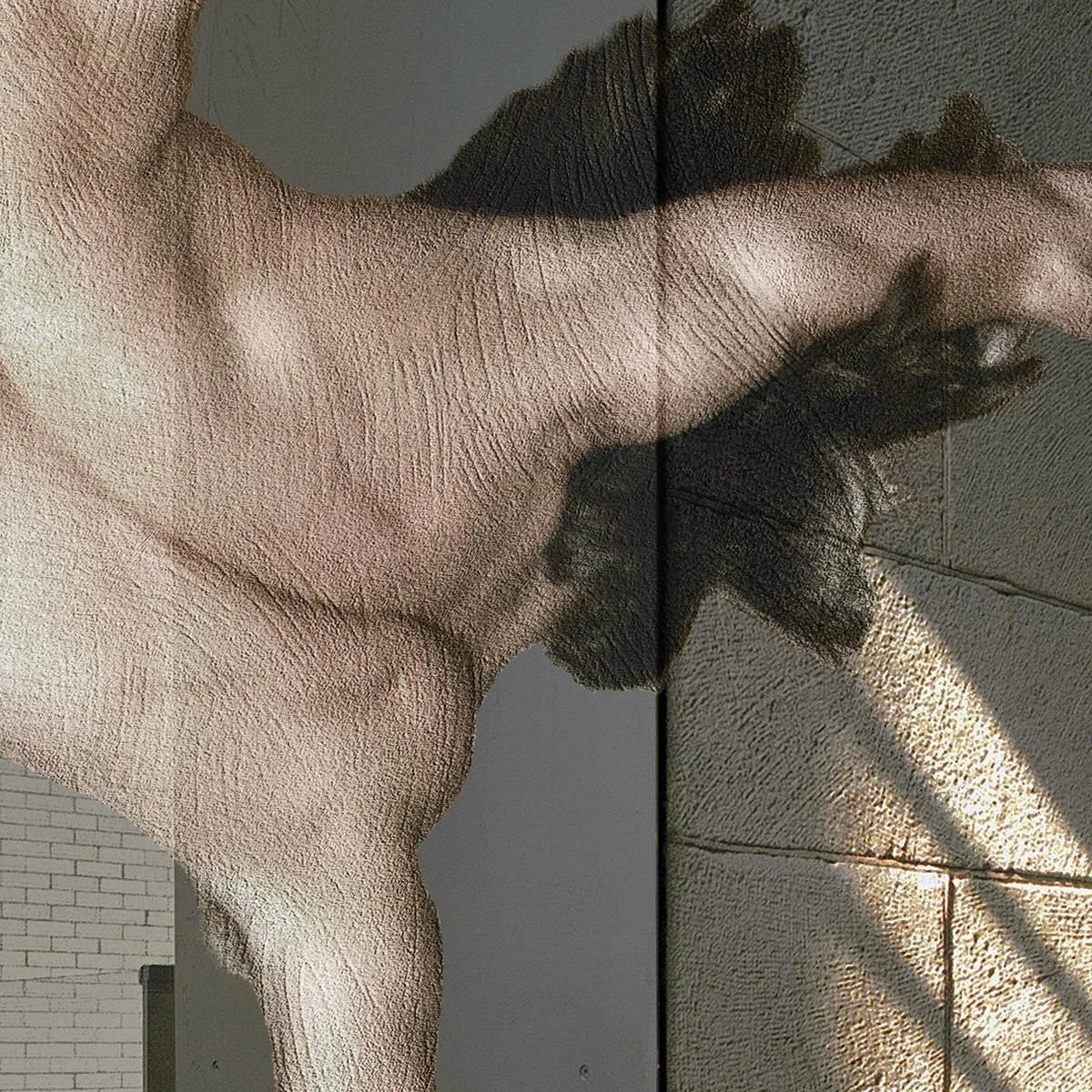 marc cramer-Envol 3-Decor-detail-1200x1200.jpg