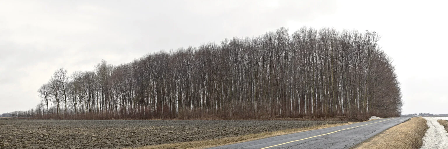 Nicolet_Route du Chemin rouge.jpg