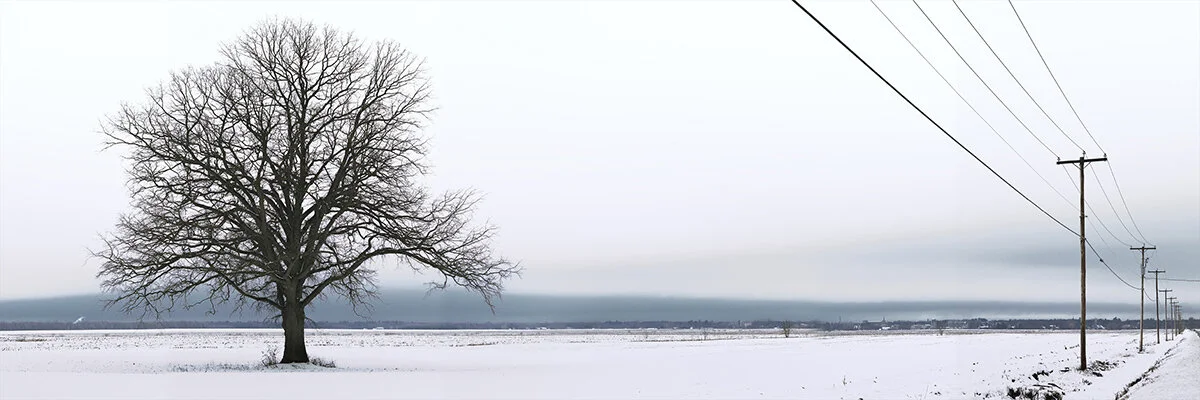 marc cramer-L2601325-27-28-29-30.jpg