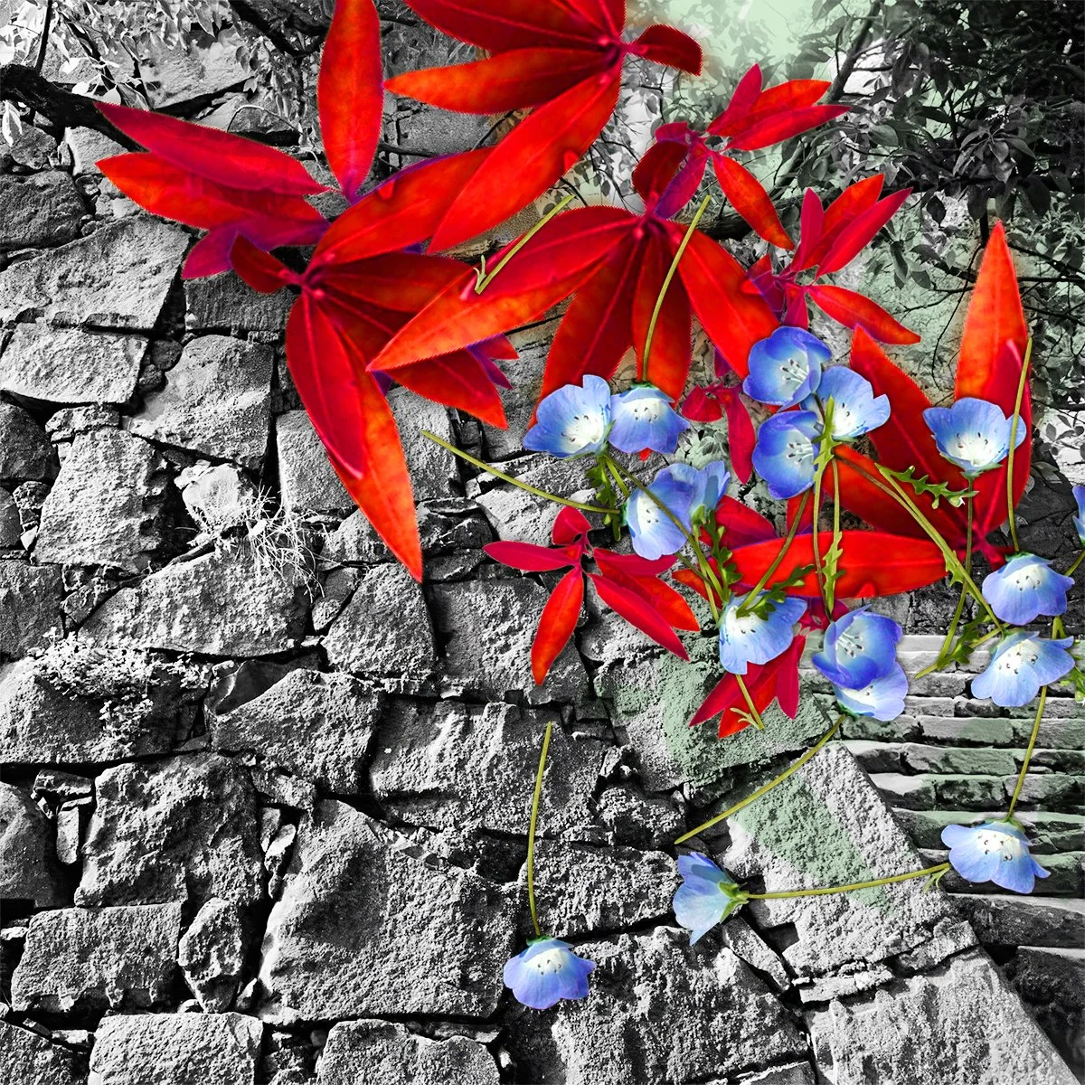 marccramer-Mur+Feuilles-1200.jpg