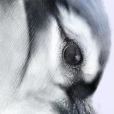 DETAIL V2-PAN 2-GEAI-800x800.jpg