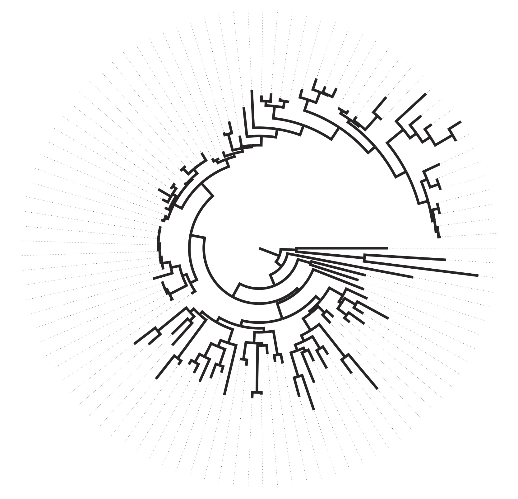 treeforwebsite.jpg