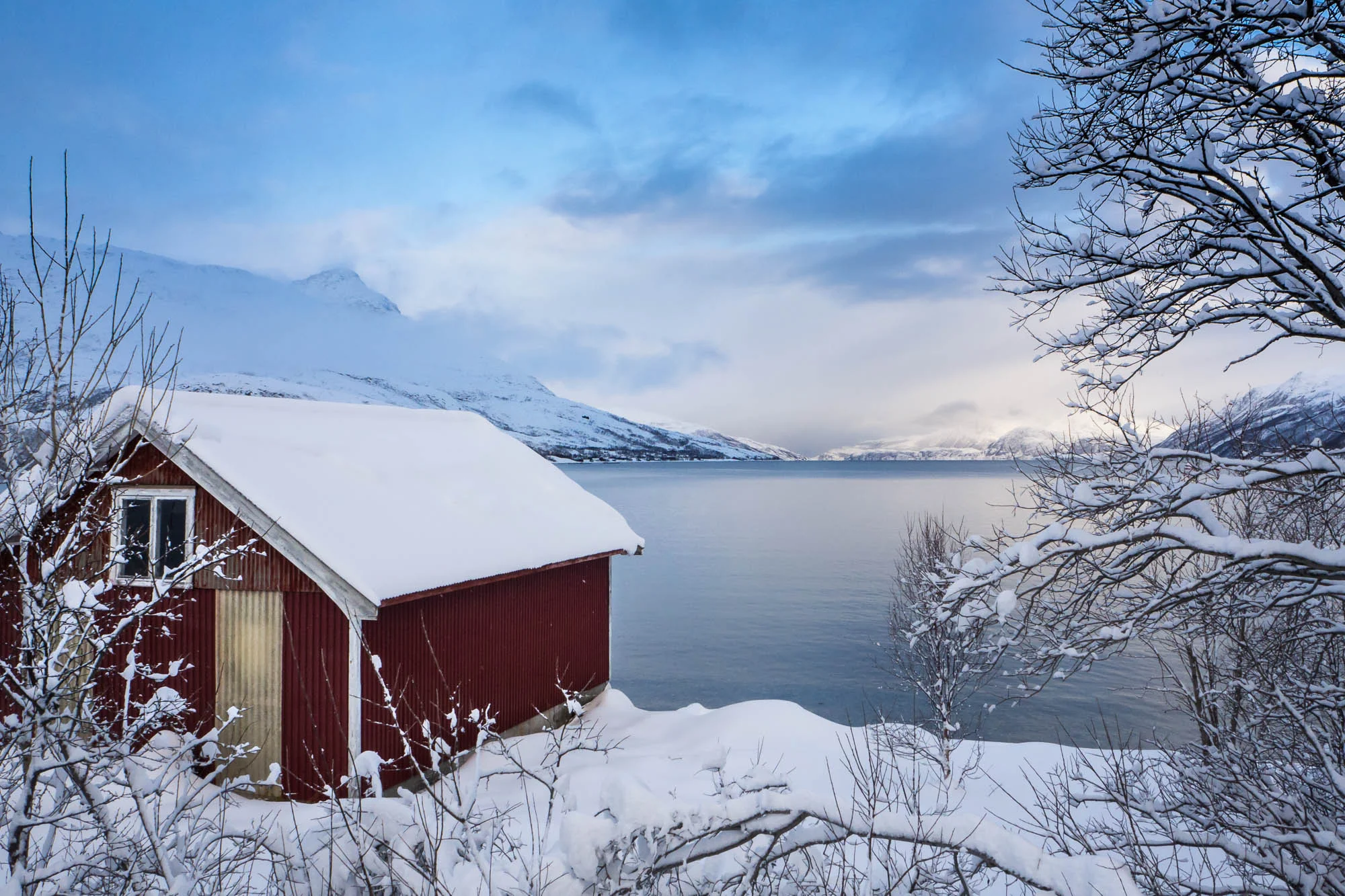 miko-coffey-norway-2017-2.jpg