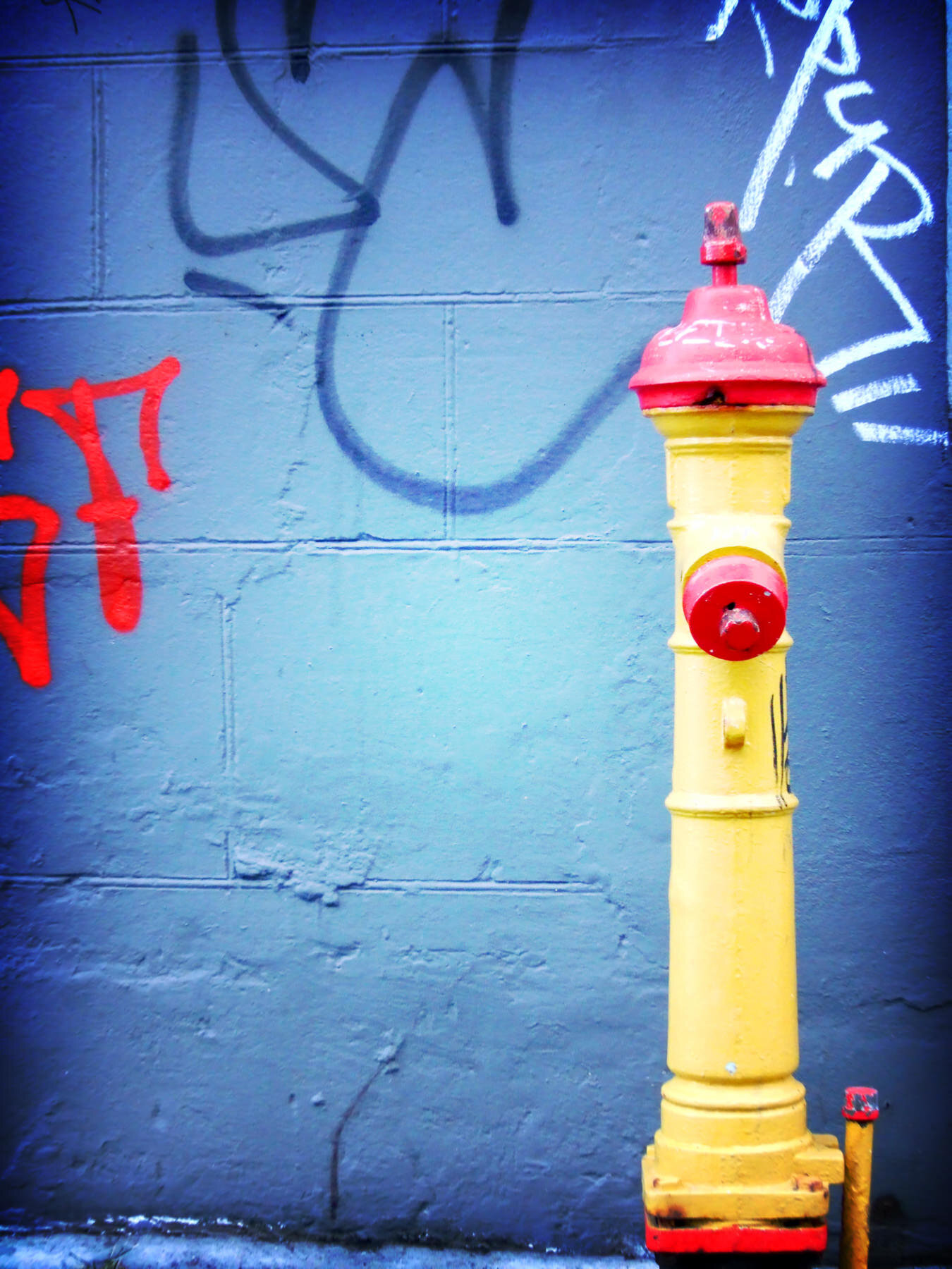 mikocoffey-street-10-2.jpg