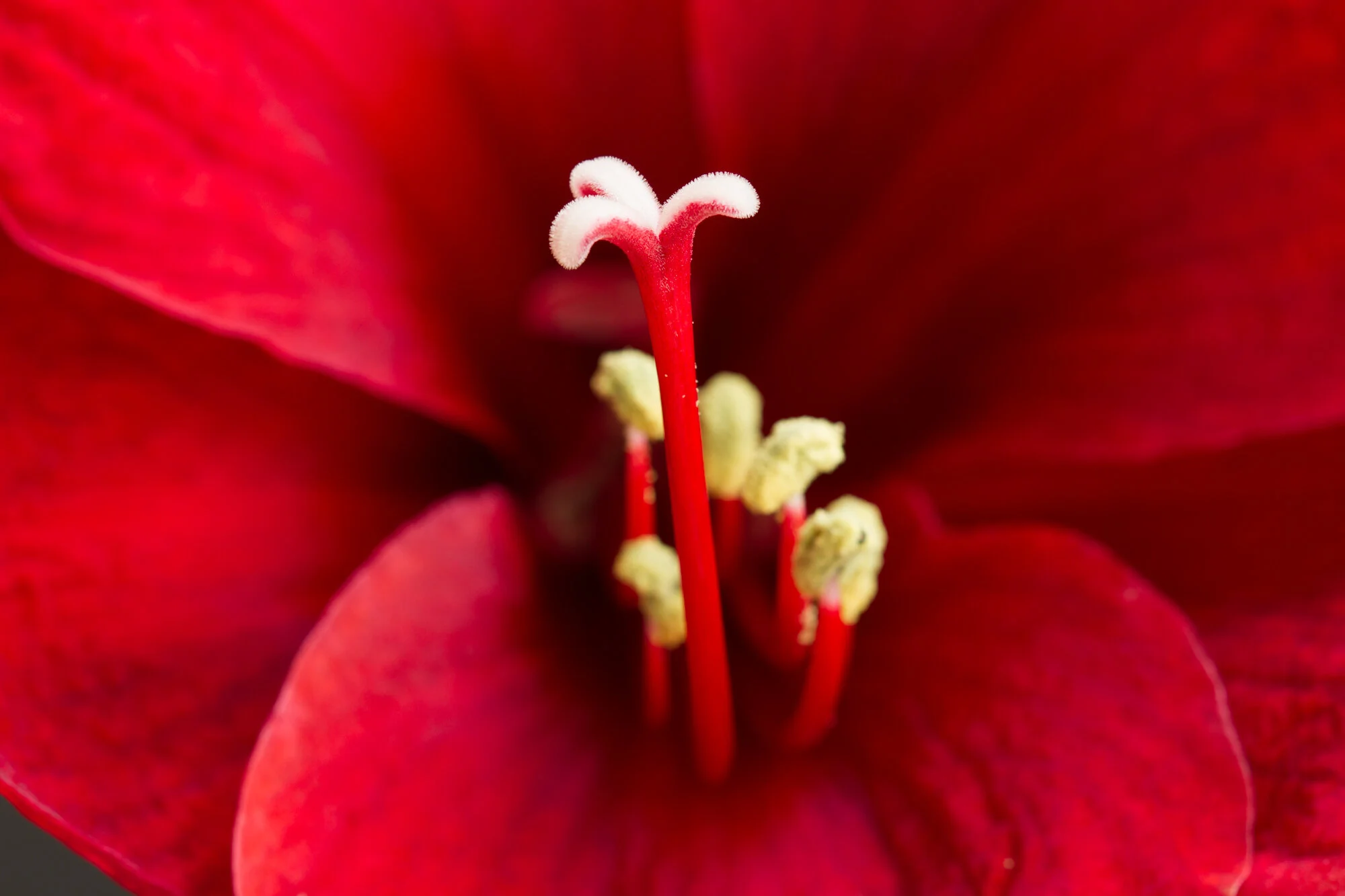 mikocoffey-nature-100-7.jpg