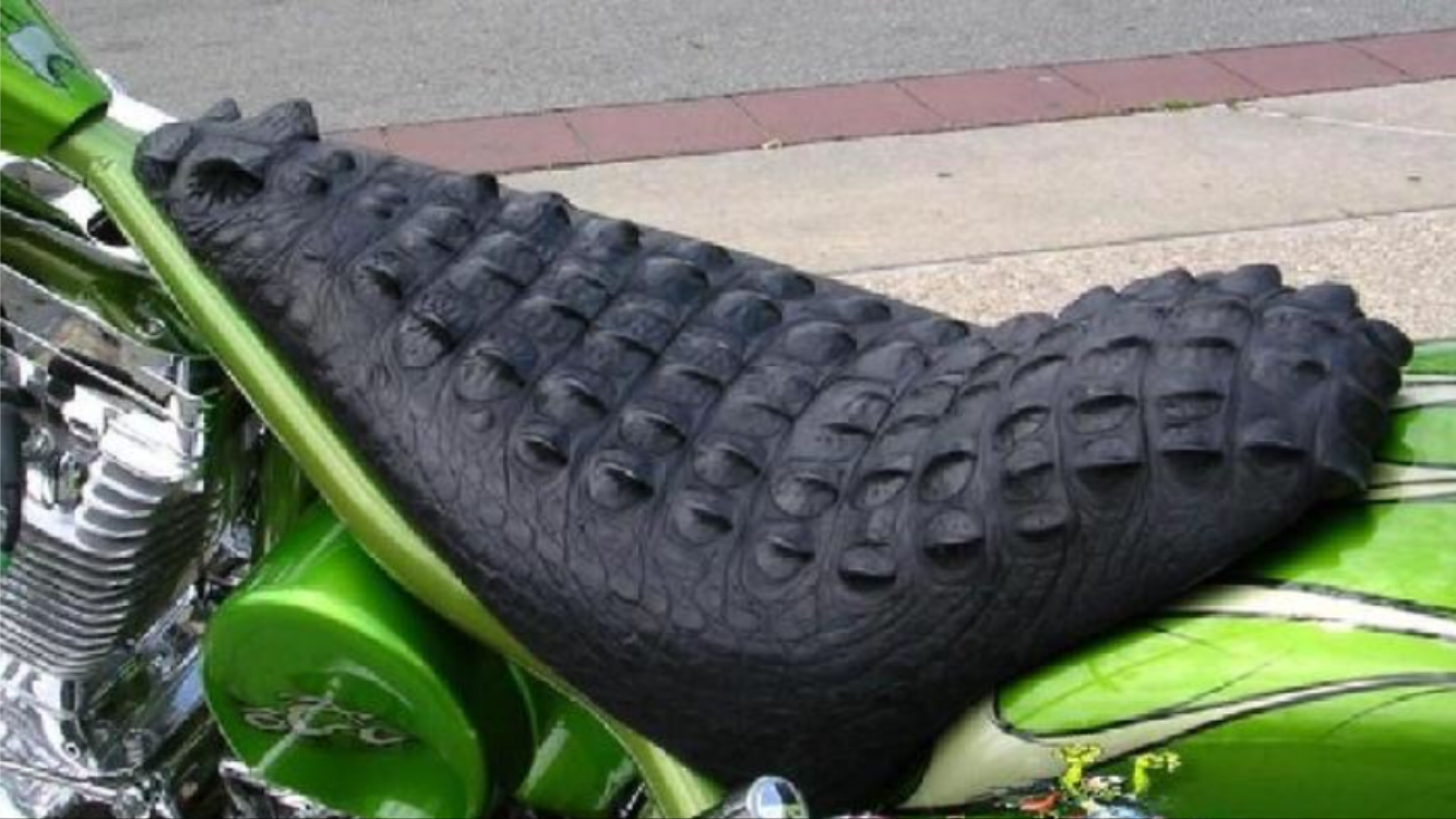 motorcycle seat shaving near me