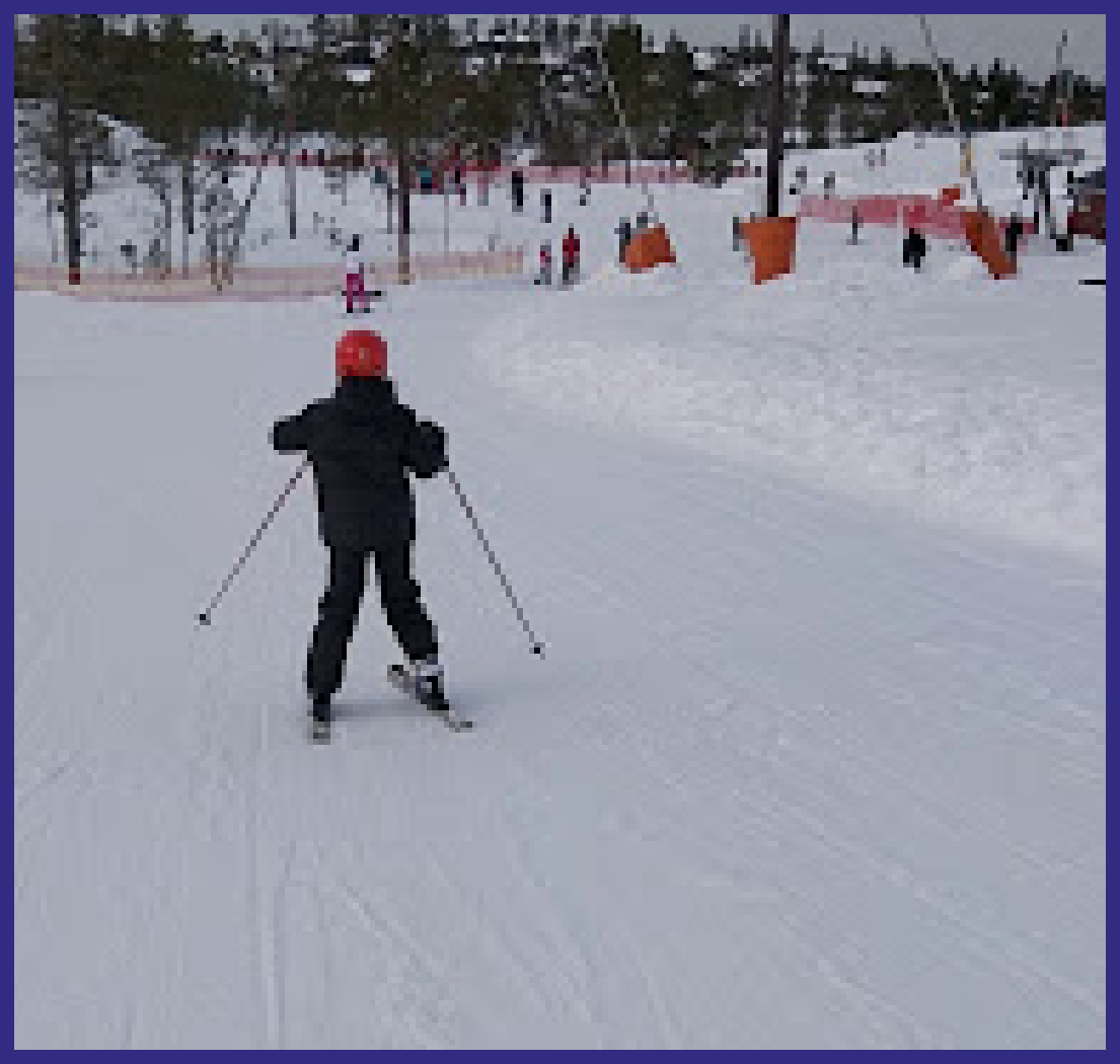 skidor1.png