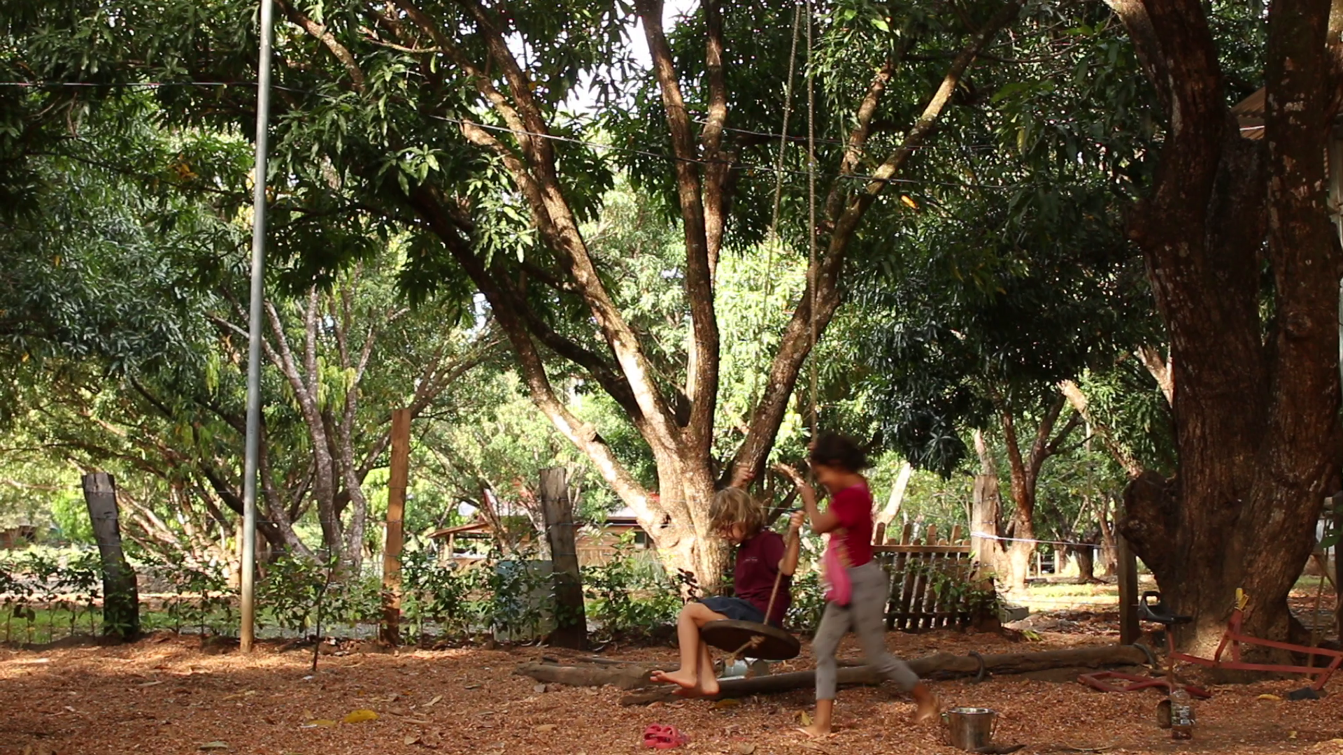 Guanacaste00008.png