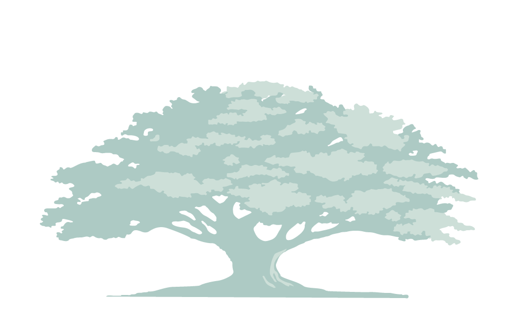 Environmental Assessments, LLC