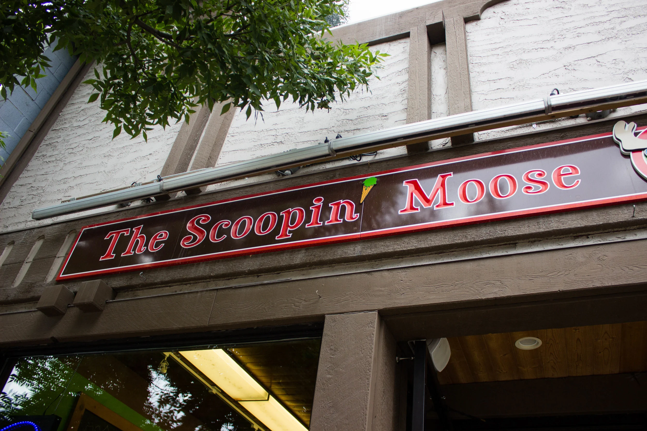 Scooping Moose.jpg