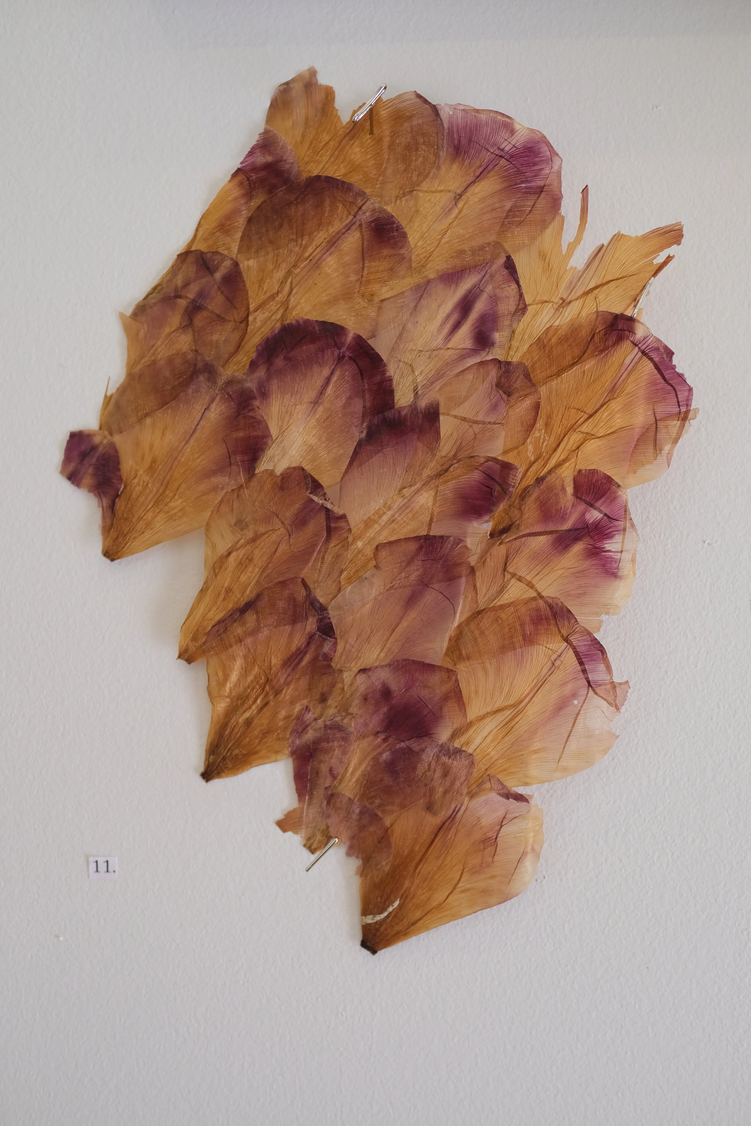 DSCF7409.JPG