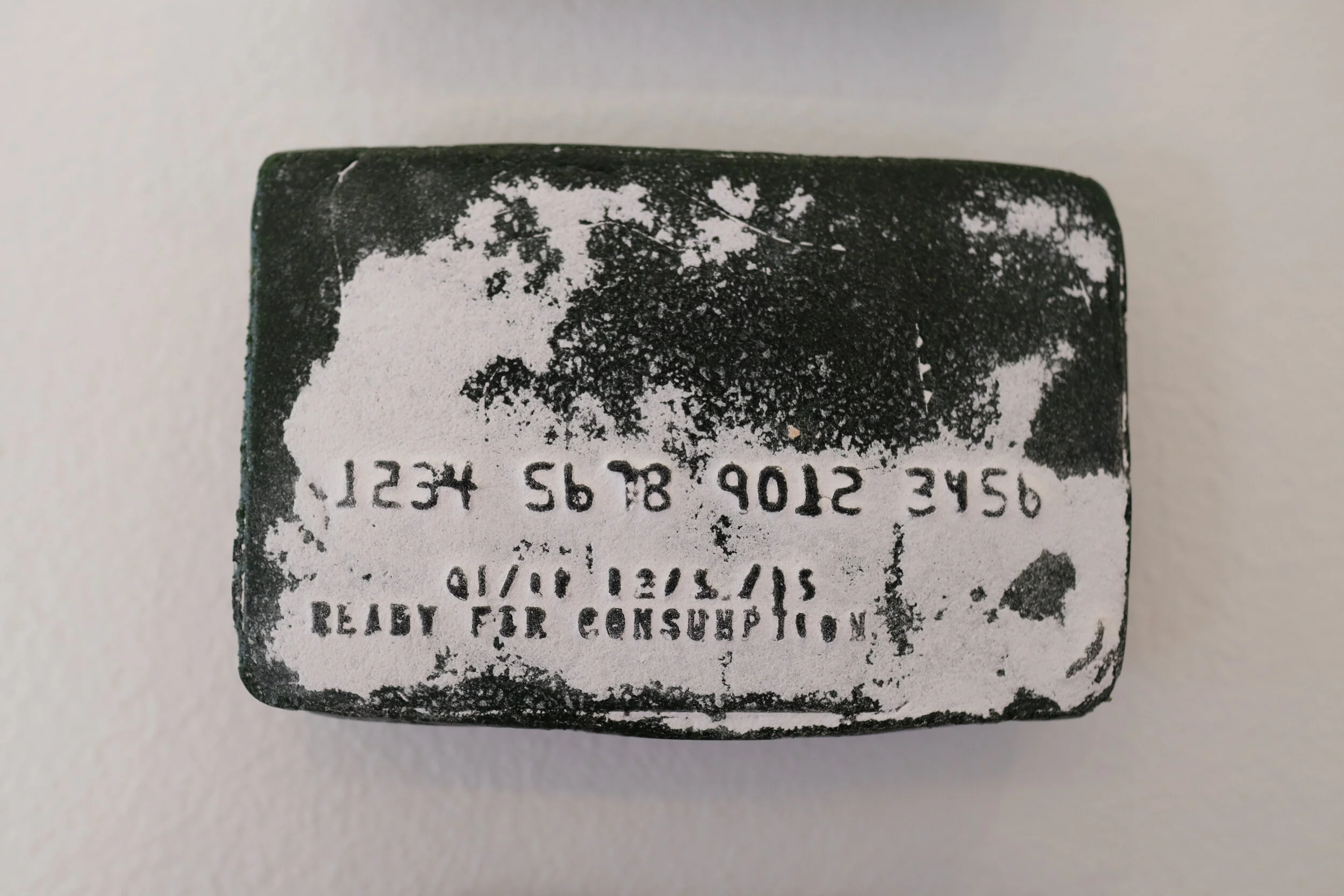 DSCF7431.JPG