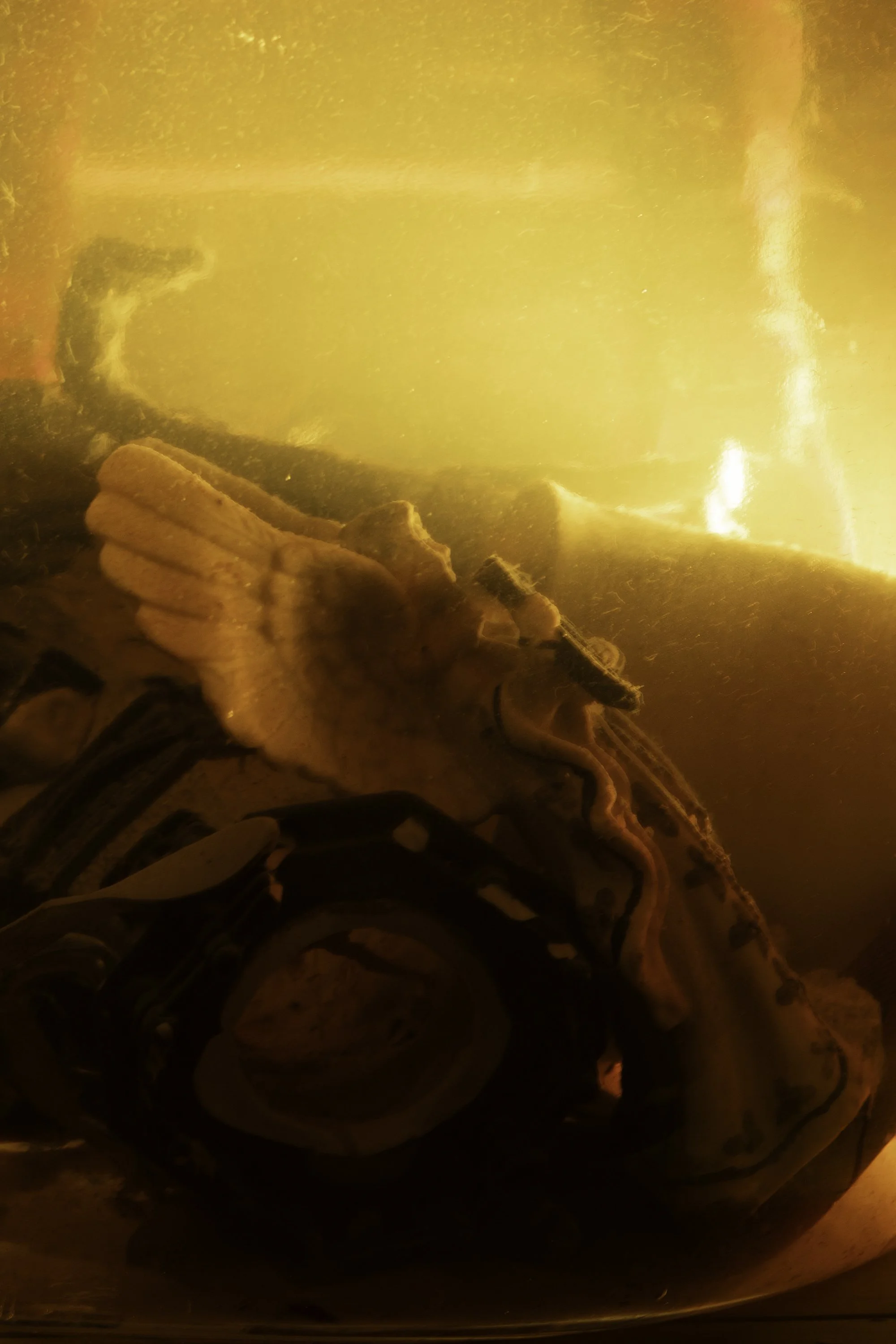 Angel orange copy.jpg