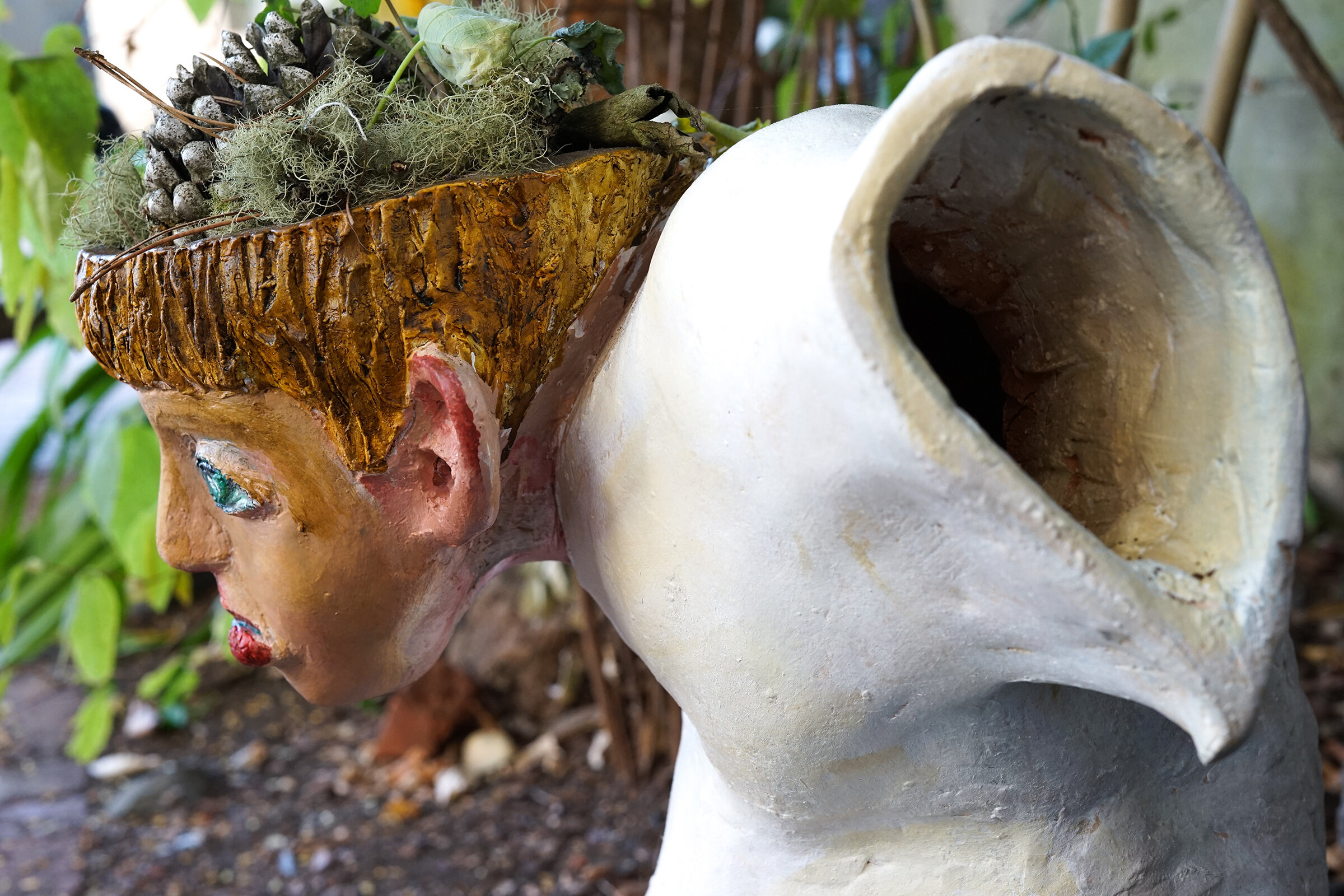 Nature Boy 2 detail