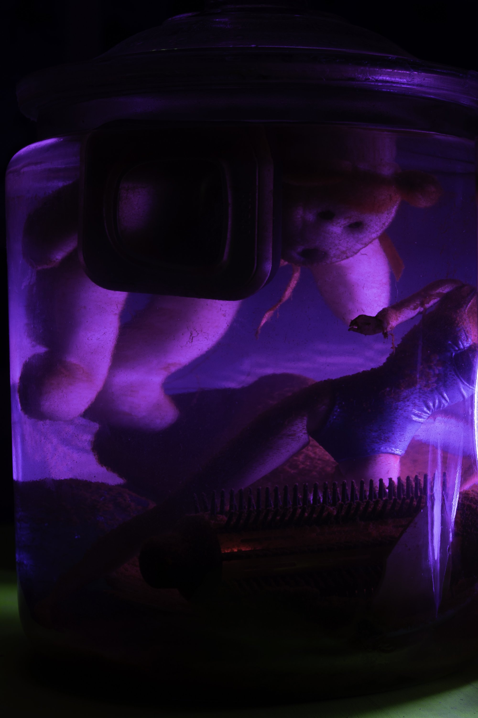 bear purple copy.jpg