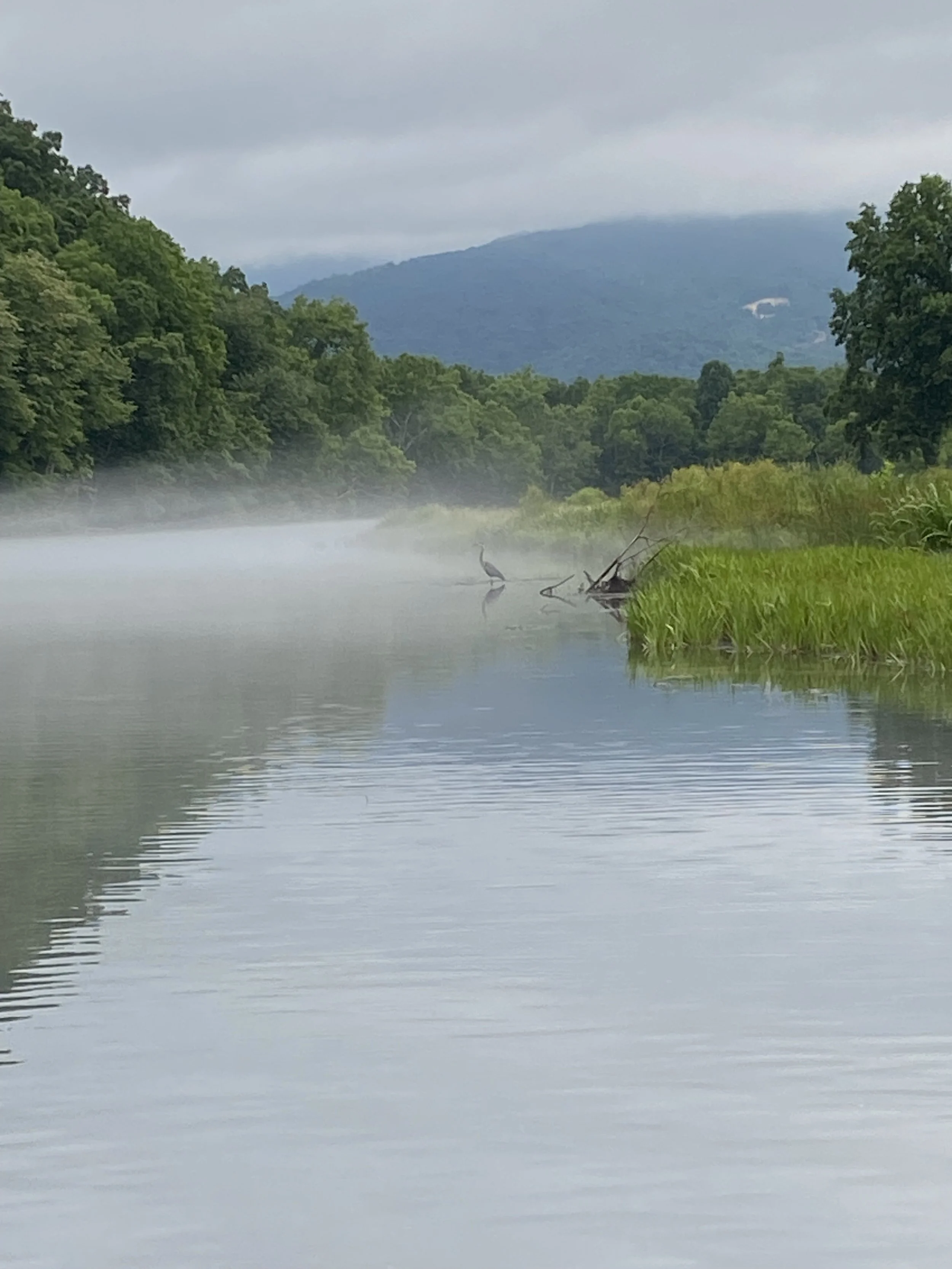 The River Moves, Always