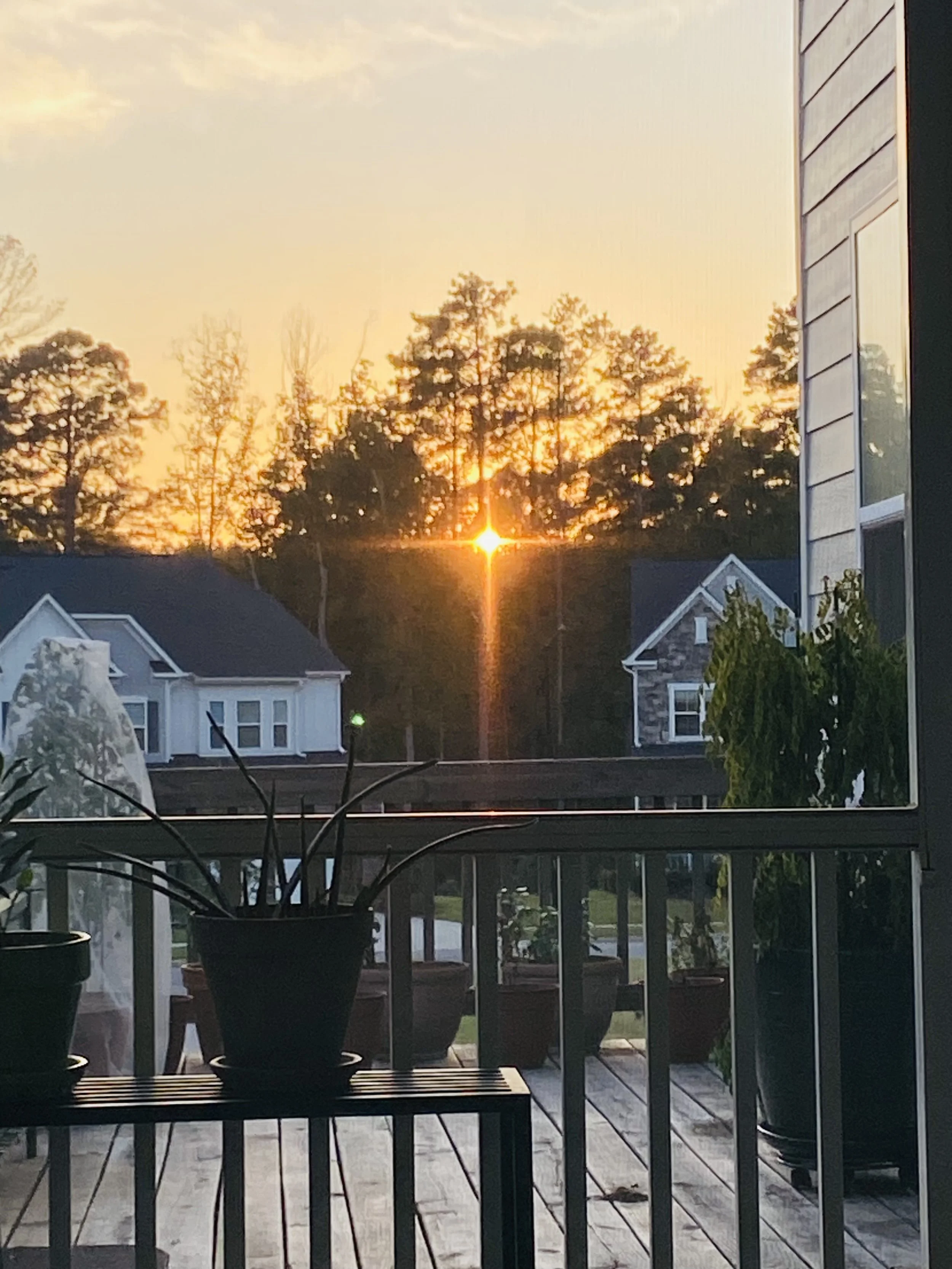 Finding the South in New Suburbia