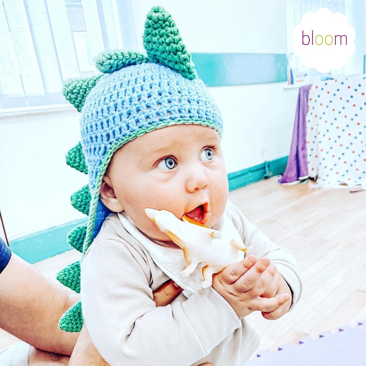 Which dinosaur is your little ones favourite? 🦕 

Roaring with cuteness Dino Week is one of the most popular themes at Bloom 🦖 

Babies having fun and developing through play 🥰
.
.
.
#dinosaursrule #dinosaurs #favouritedinosaur #babyfun #learnthro