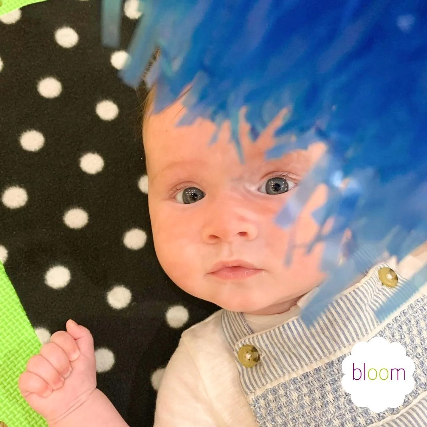 Do you have any props at home? Do you sing along to our Bloom music? 🌈
.
.
.
.
#bloommusic #bloombabyshake #pompomshake #babyclassprops #babyactivities #newbornclass #newmumshub #newparentlife #babylove #babyactivitiesathome