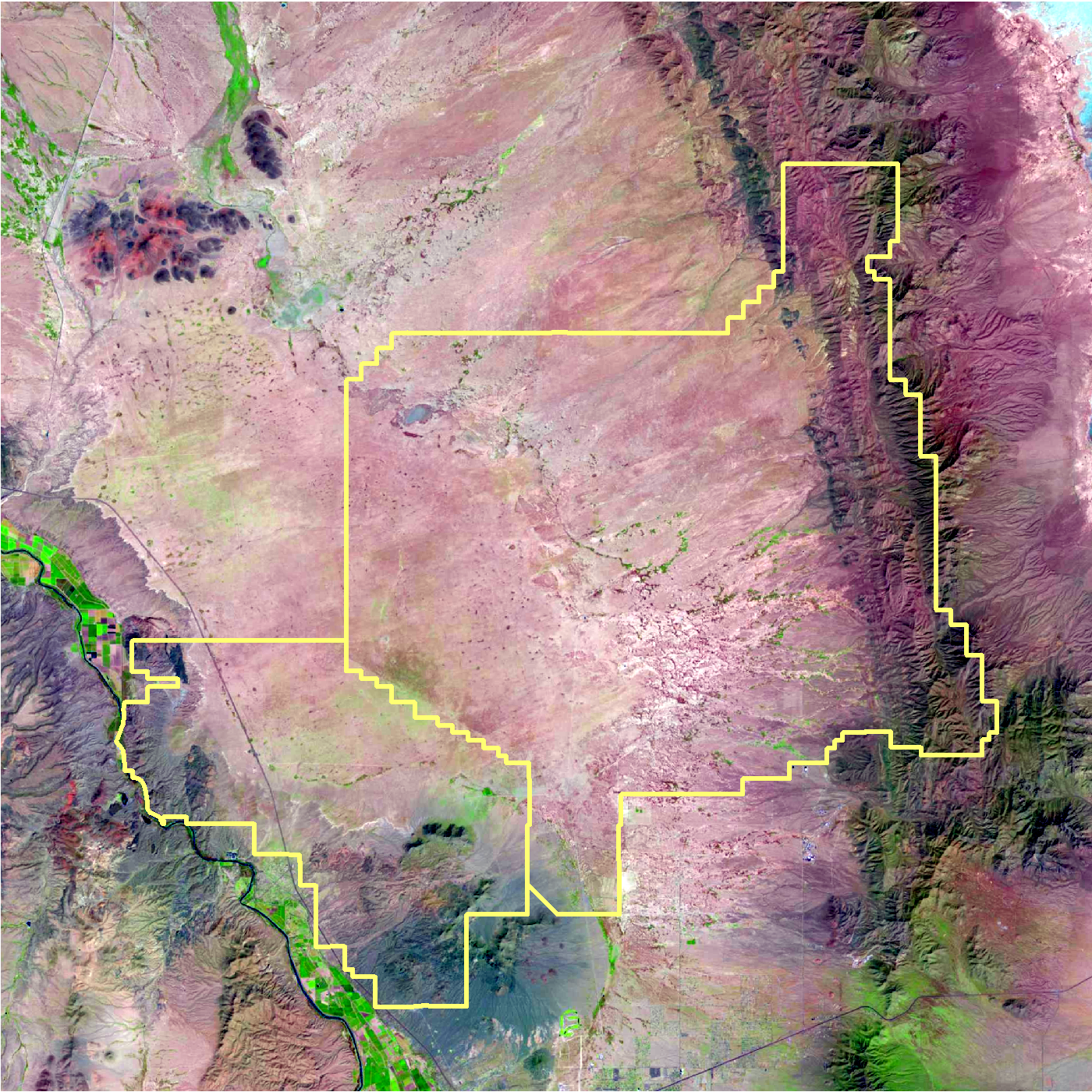 Spatial heterogeneity.png